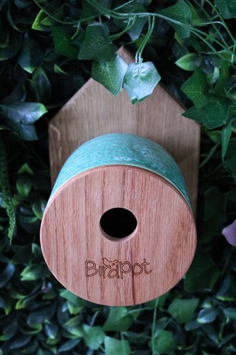 Bird house planter nest - nest, box